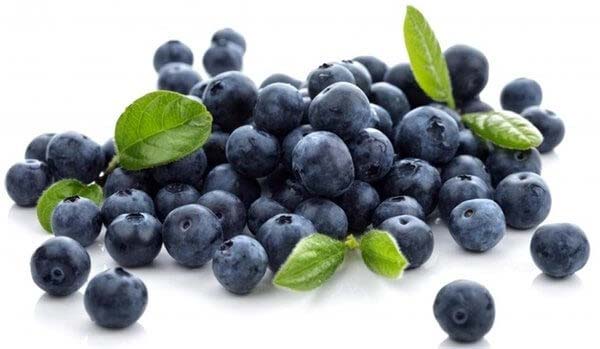 Quả việt quất (blueberry) và những công dụng tuyệt diệu