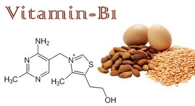 Vitamin B1 là gì? Vitamin B1 có tác dụng gì? Cách sử dụng đúng nhất