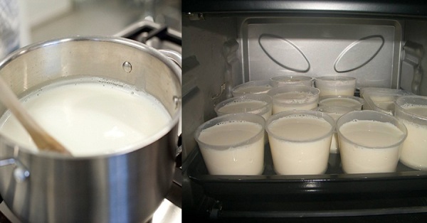 Cách làm sữa chua không đường tại nhà ngon mà đơn giản nhất cho bạn