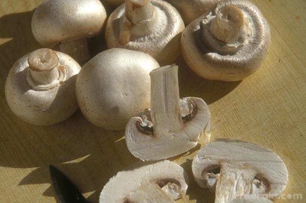 Tác dụng, thành phần dinh dưỡng và các món ăn ngon làm từ nấm rơm