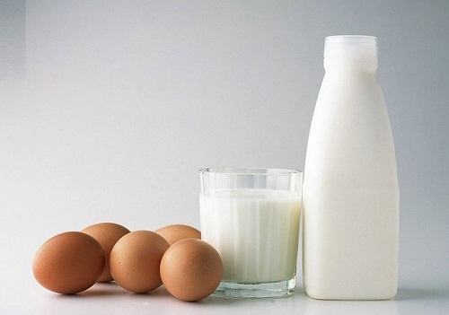 Tỷ lệ trứng và sữa khi làm bánh flan là bao nhiêu? Bạn không thể bỏ qua